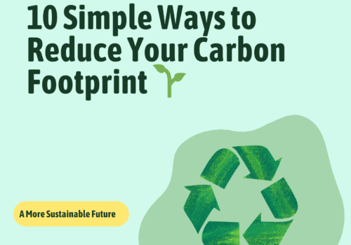 Reduce Reuse Recycle for A Sustainable Future Education Presentation In Green Blue illustrative style (1920 x 1920 px)