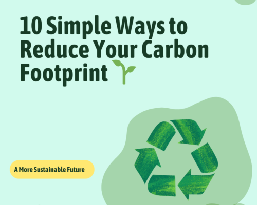 Reduce Reuse Recycle for A Sustainable Future Education Presentation In Green Blue illustrative style (1920 x 1920 px)